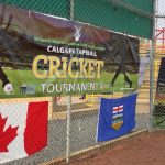 Cricket Tapeball First5